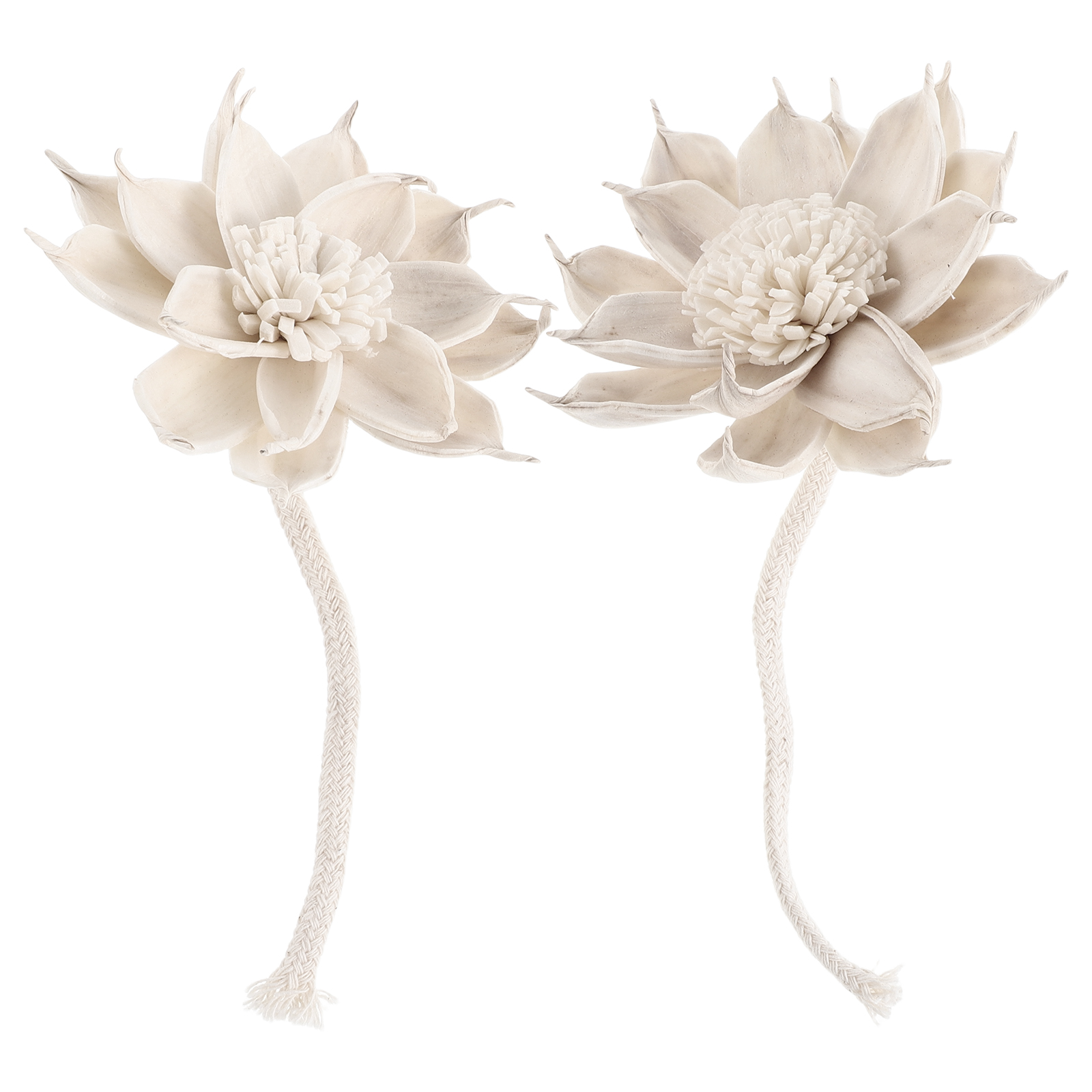 Potpourri Dried Flower - 2 Buah Stik Diffuser Aroma Bunga