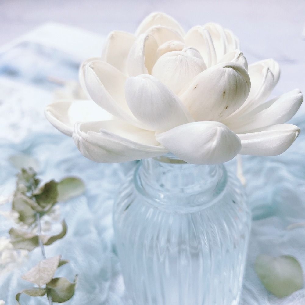 Home Fragrance Stick - Bunga Aromaterapi untuk Rumah, Stik Diffuser
