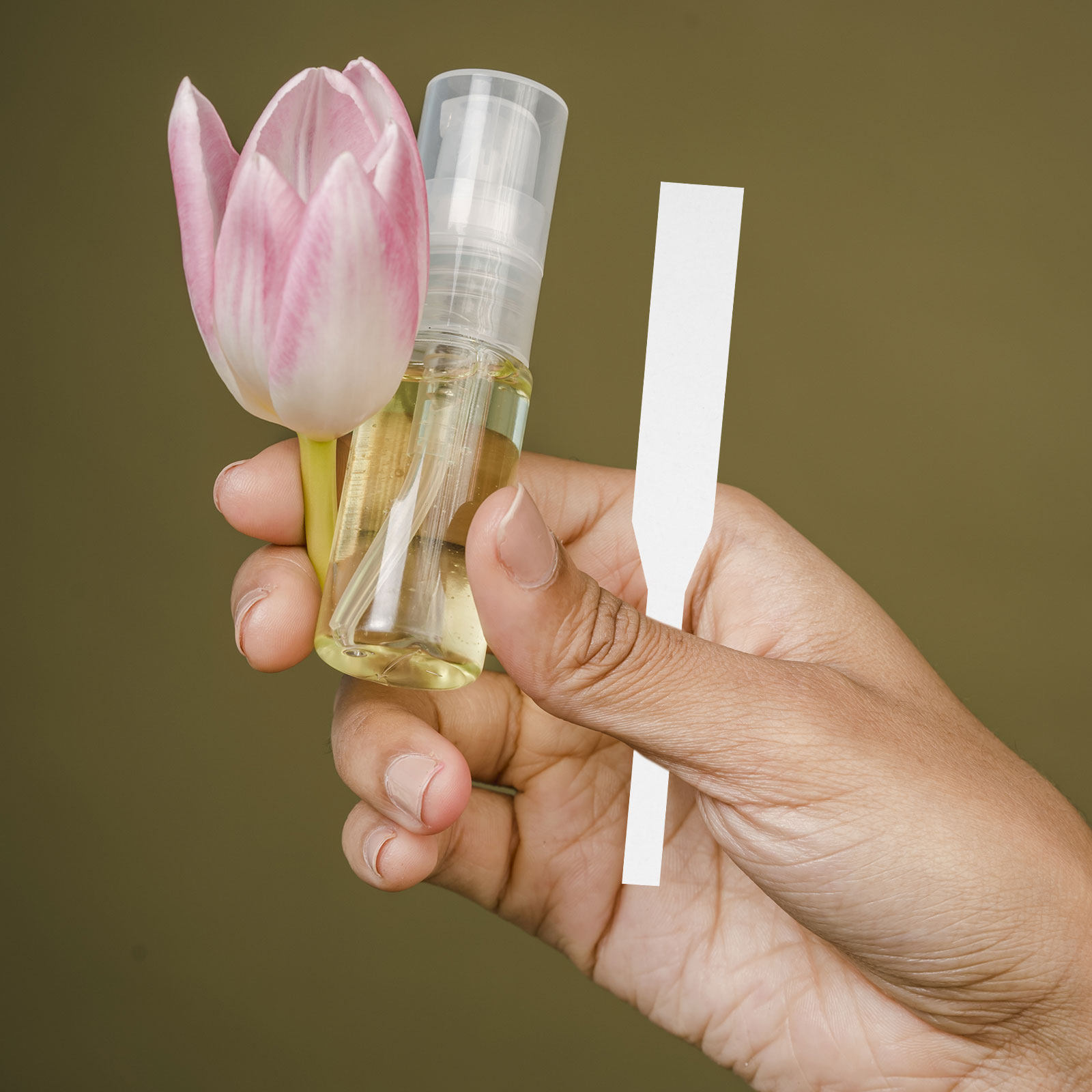 100 Buah Strip Tes Parfum Stri - Shop Home Fragrance ulasan dan harga