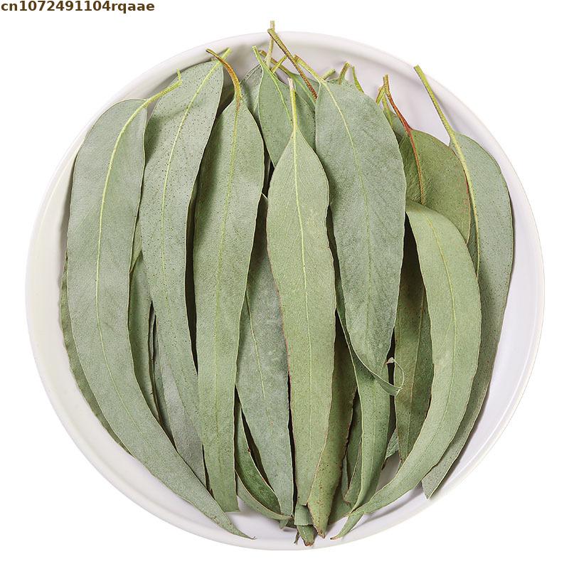 Daun Eucalyptus Kering Alami B - Potpourri Dried Flower ulasan dan harga