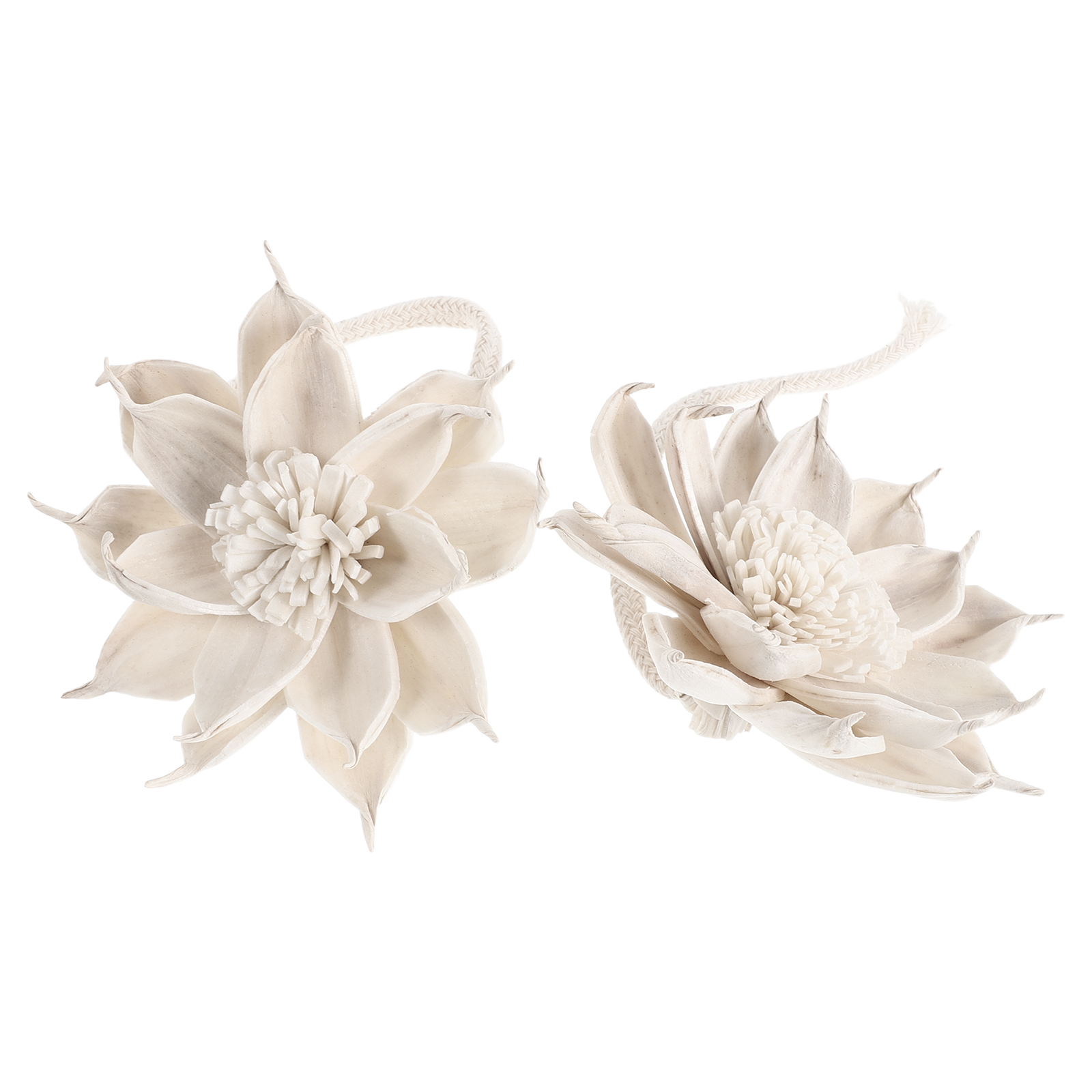 2 Buah Stik Diffuser Aroma Bun - Potpourri Dried Flower ulasan dan harga