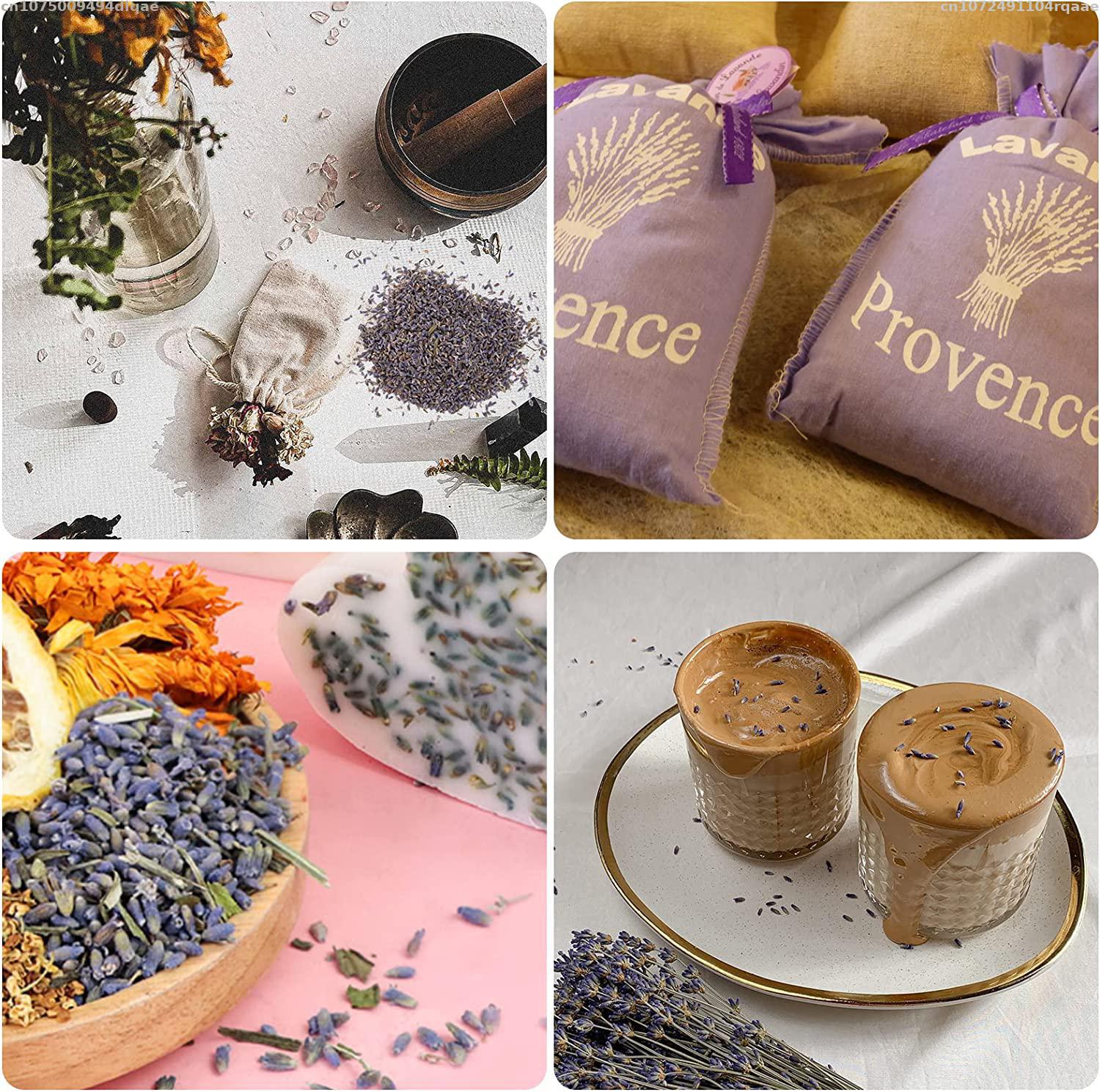 100% Bunga Lavender Kering Ala - Potpourri Dried Flower ulasan dan harga