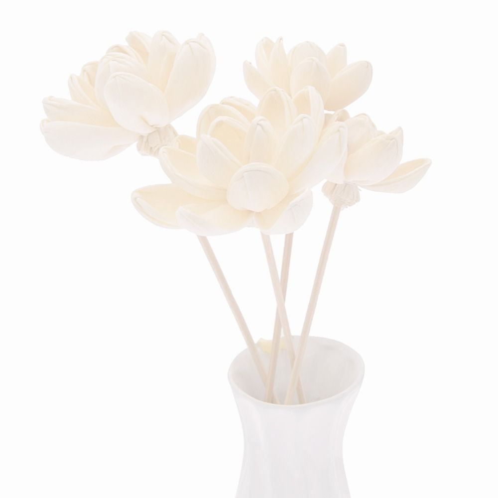 Bunga Aromaterapi untuk Rumah, - Home Fragrance Stick ulasan dan harga