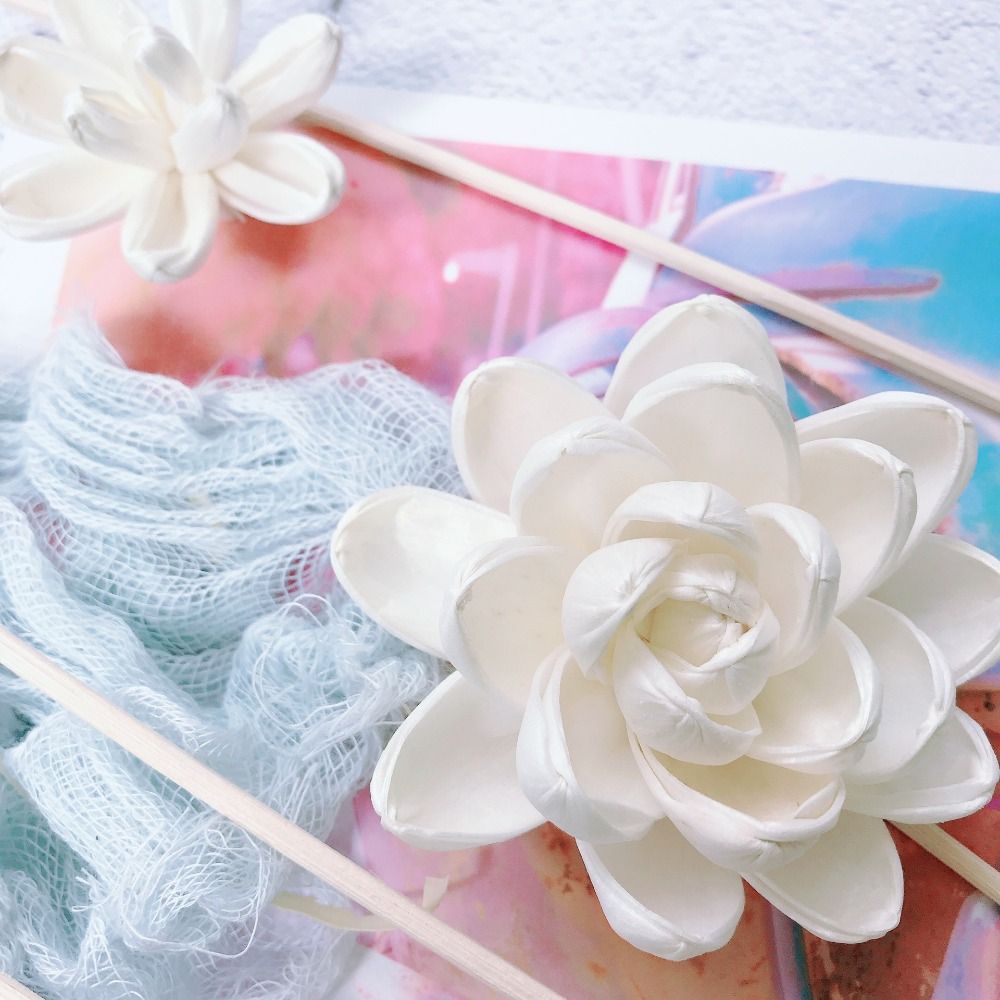 Bunga Aromaterapi untuk Rumah, - Home Fragrance Stick ulasan dan harga