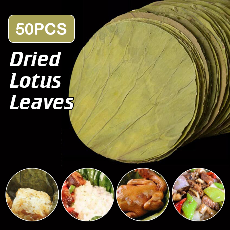 50 buah cakram daun teratai ke - Potpourri Dried Flower ulasan dan harga